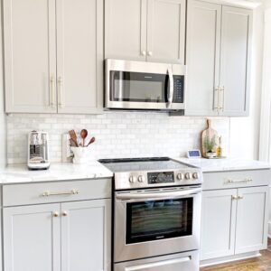 Electric or gas stove
